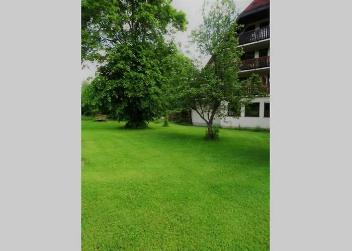 Modernes Apartment Mit Traumhaftem Blick Ins Gruene