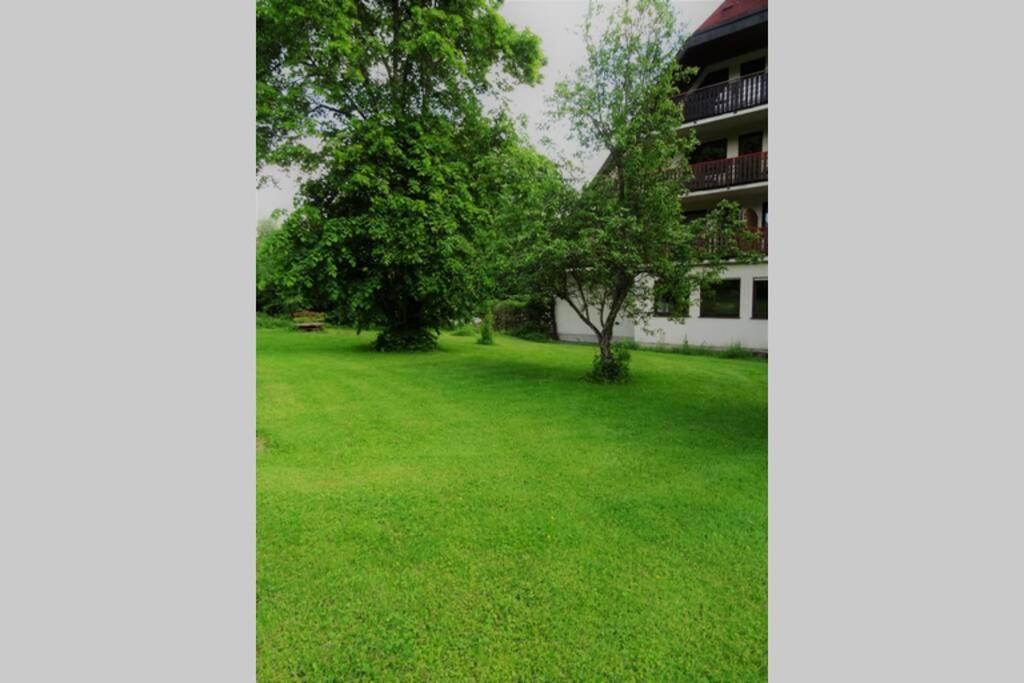 Modernes Mit Traumhaftem Blick Ins Gruene Apartment Braunlingen